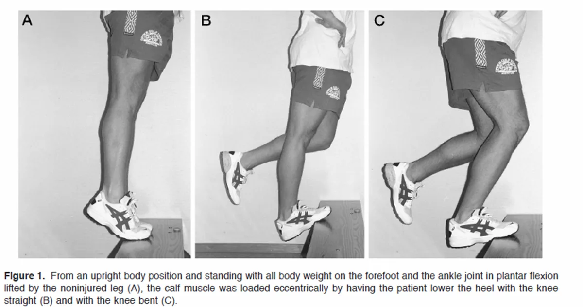 eccentric heel drops