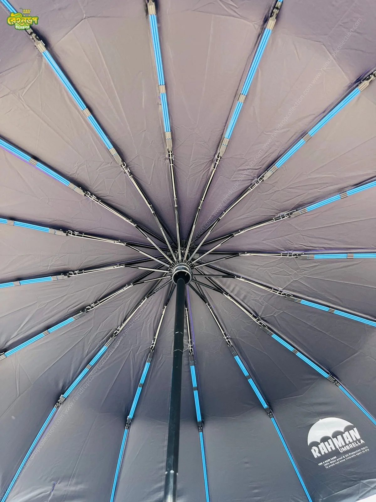 fiberglass rib architecture
